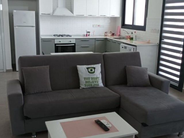 2+1 furnished flat for rent on the school road in Yenişehir region