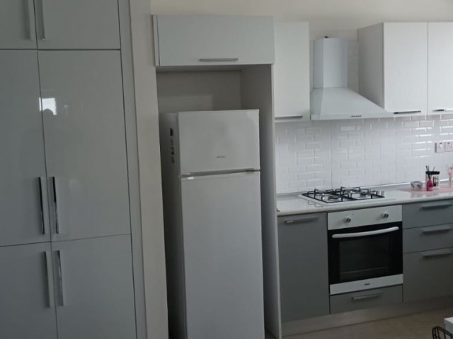 2+1 furnished flat for rent on the school road in Yenişehir region