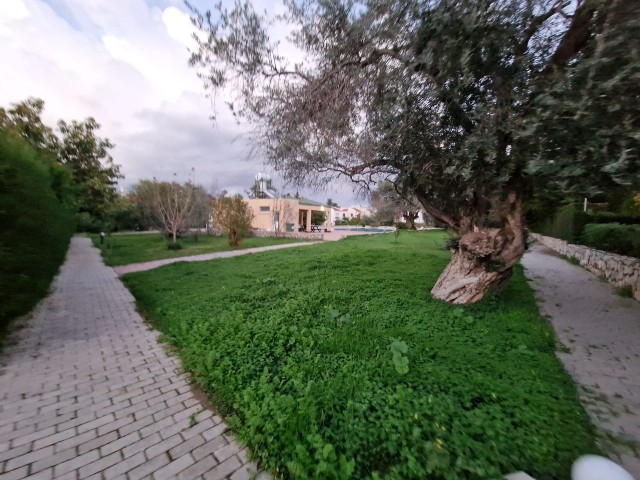 STUNNING VILLA FOR RENT WITH A GARDEN, SPACIOUS 170M2 (3+1) WITH COMMON SWIMMING POOL IN A PRIVATE SITE WITH A GARDEN IN A PERFECT LOCATION AT WALKING DISTANCE TO GAU IN GIRNE