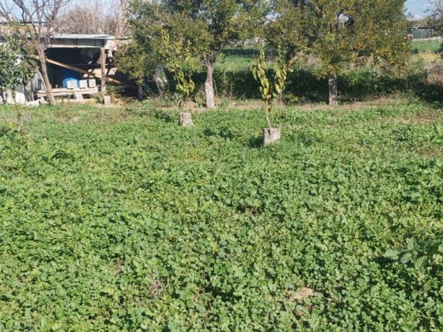 PERFEKTE, GERÄUMIGE UND GERÄUMIGE FREISTEHENDE WOHNANLAGE ZU EINEM SEHR GÜNSTIGEN PREIS ZU VERKAUFEN, MIT 150 M2 GARTEN IN 700 M2 GARTEN IN SERHATKÖY, EINER DER SCHÖNSTEN UND GRÜNSTEN GEBIETE ZYPERN