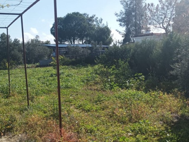 PERFECT, SPACIOUS AND SPACIOUS DETACHED RESIDENCE FOR SALE AT A VERY REASONABLE PRICE WITH 150M2 GARDEN IN 700M2 GARDEN IN SERHATKÖY AREA, ONE OF THE MOST BEAUTIFUL AND GREEN AREAS OF CYPRUS