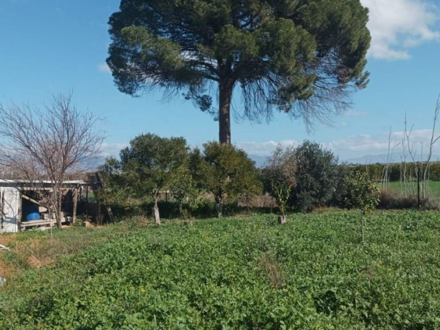 Freistehendes Haus zum Verkauf in Serkatköy, ruhig und grün, mit großem Garten