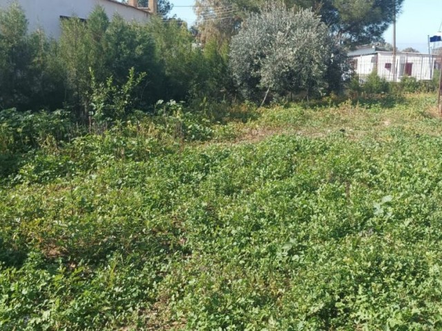 Freistehendes Haus zum Verkauf in Serkatköy, ruhig und grün, mit großem Garten