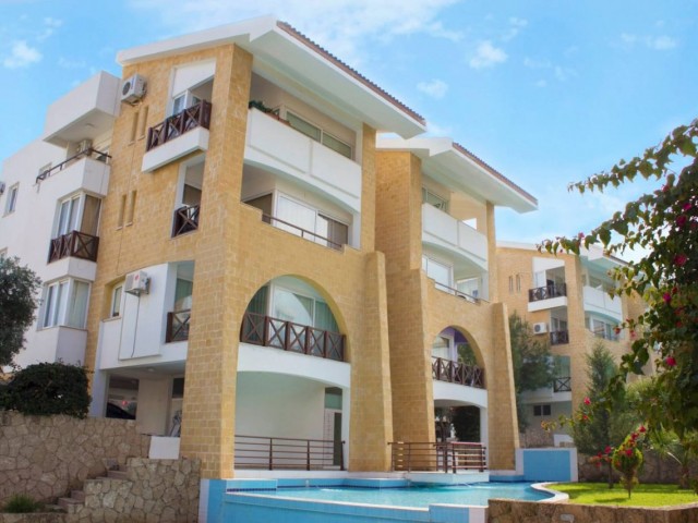 1+1 for Rent in Patalena Life Site
