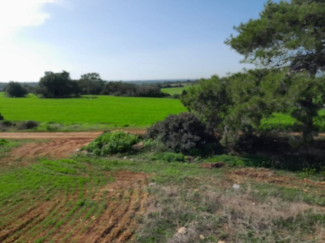 مسکونی و تجاری برای فروش in Derince, ایسکله