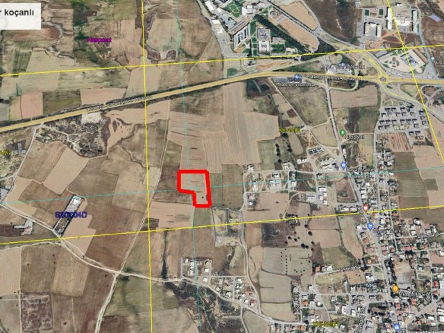 Hervorragende Investitionsmöglichkeit in Haspolat, Nikosia, 12.900 m2 Fläche, gleichwertiger Wert, parallel zur neuen Straße, Möglichkeit, in Zukunft Gewinne zu erzielen