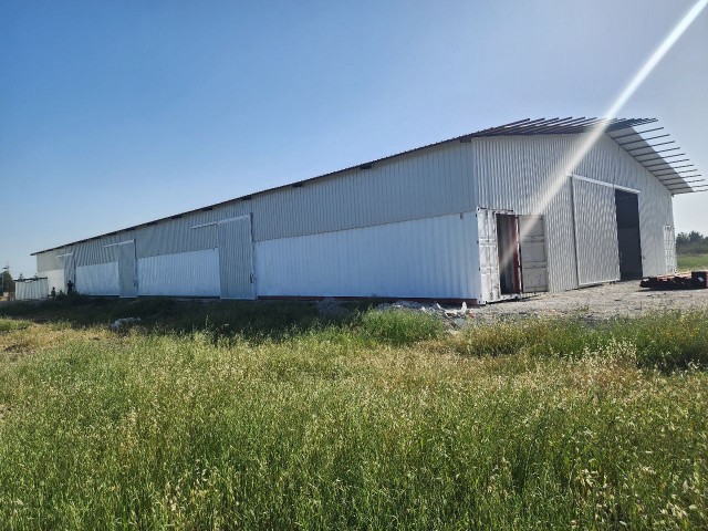 400 m2 Sendeli warehouses for rent in Haspolat, Nicosia