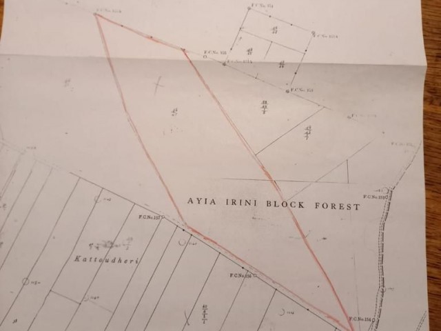 Eine einzigartige Investitionsmöglichkeit für 57,5 ​​Dekaden Land in herrlicher Lage im Dorf Akdeniz, 5 km vom Meer entfernt.