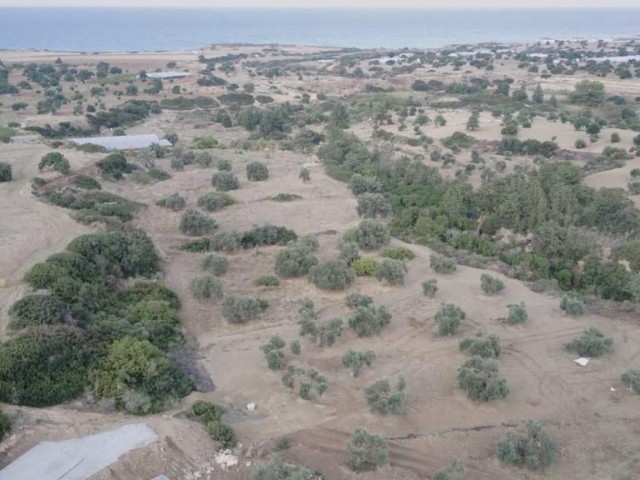 منطقه مسکونی برای فروش in Tatlısu, فاماگوستا