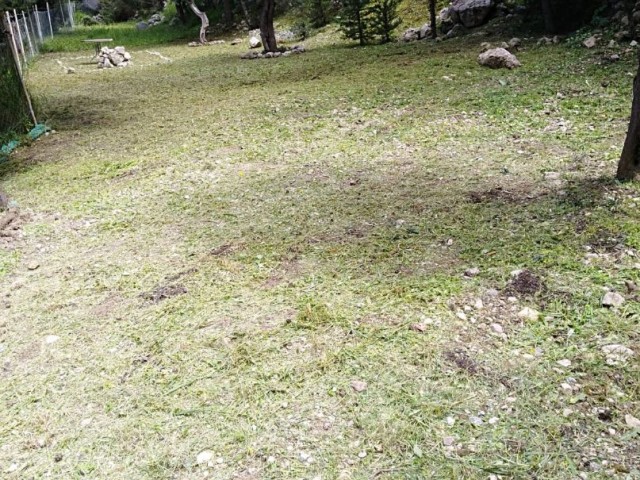 3+1 ATEMBERAUBENDE VILLA MIT BERG- UND MEERBLICK, GROSSES GRUNDSTÜCK ZUM VERKAUF IN LAPTA