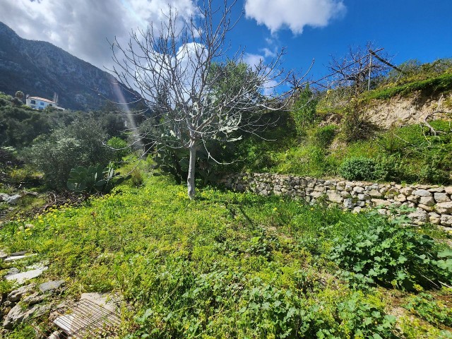 4+1 VILLA ZU VERKAUFEN MIT BERG- UND MEERBLICK IN LAPTA BASPINARDA 