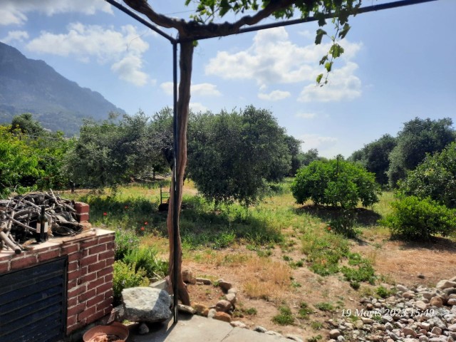 Within 2.5 donum garden ,with a lots of fruit trees in the garden and a private pool
