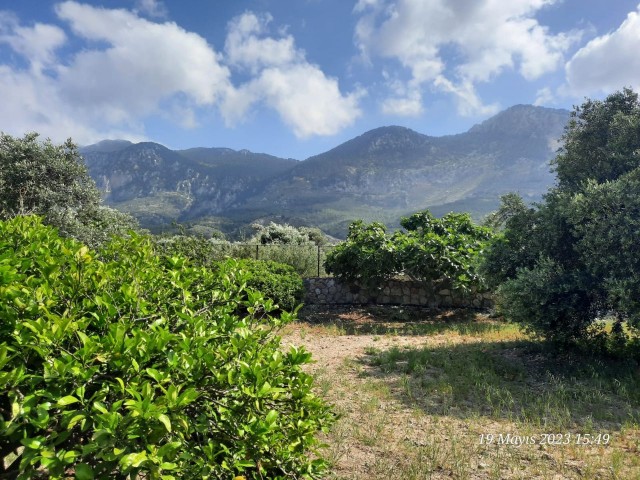 Within 2.5 donum garden ,wıth a lots of fruıt trees ın the garden and a prıvate pool