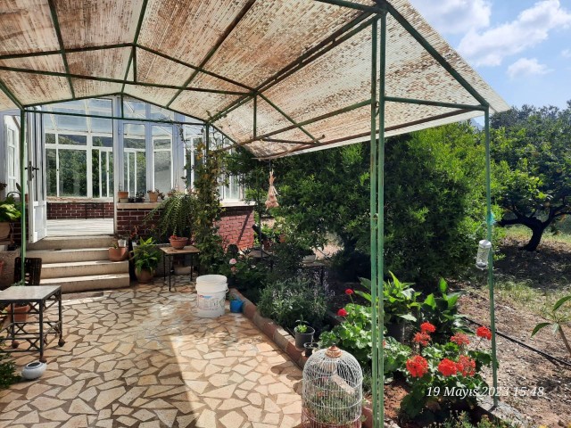 Within 2.5 donum garden ,with a lots of fruit trees in the garden and a private pool