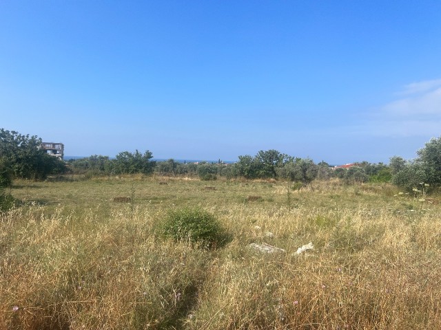 Ozankoy 8.5 donum plot of land for sale close to science university