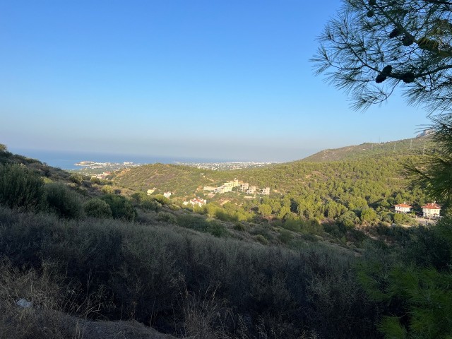 زمین محصور برای فروش در Girne Yesiltepe