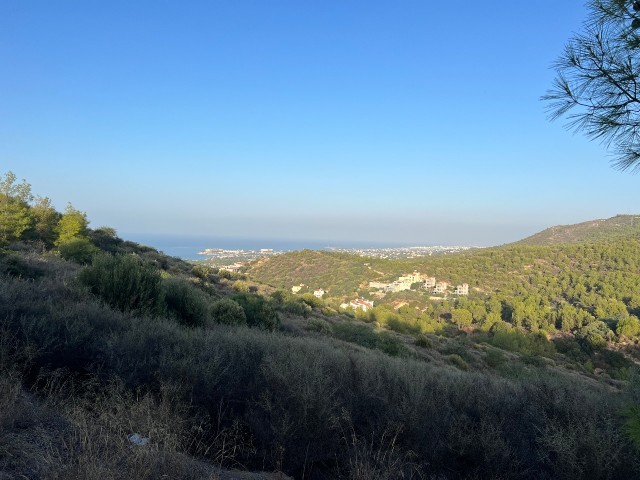 زمین محصور برای فروش در Girne Yesiltepe