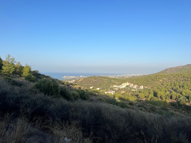 زمین محصور برای فروش در Girne Yesiltepe