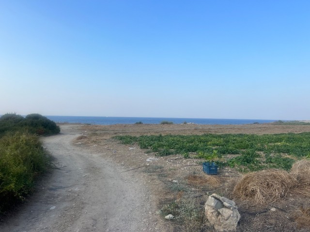 3 donums of land for sale close to the sea in Kyrenia ozankoy