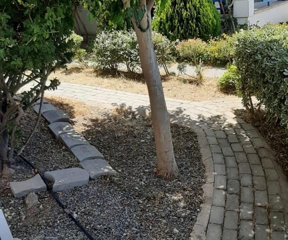 FOR RENT ALSANCAK 1+1 SITE WITH POOL (170723Mr02)