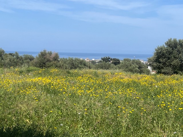 Lage in Karsiyaka, flache Aussicht, schönes Grundstück zum Verkauf