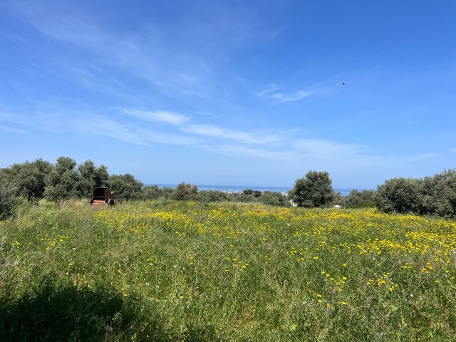 Lage in Karsiyaka, flache Aussicht, schönes Grundstück zum Verkauf