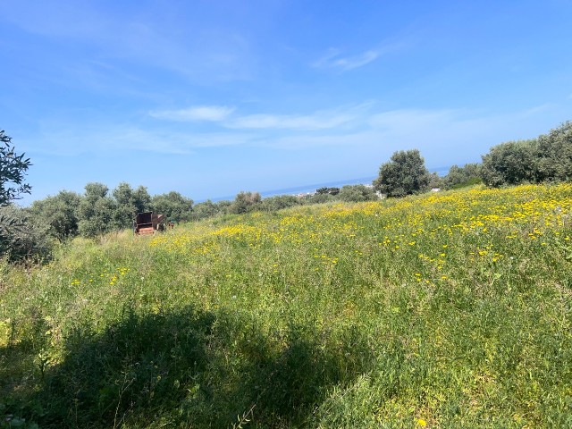 Lage in Karsiyaka, flache Aussicht, schönes Grundstück zum Verkauf