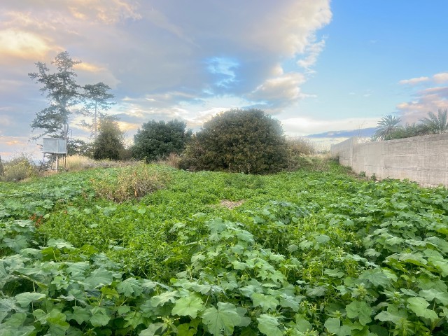 Ozankoy Kyrenia freier Blick auf türkisches Land zum Verkauf