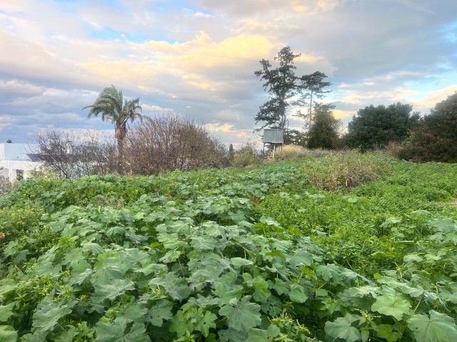 Ozankoy Kyrenia freier Blick auf türkisches Land zum Verkauf