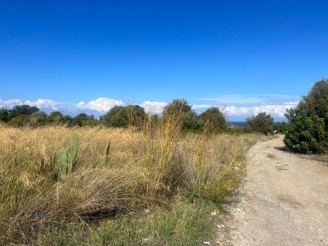 Land for sale near the sea in Karsıyaka