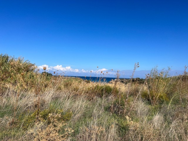 12 Hektar Land zum Verkauf in Karsiyaka Kyrenia nahe am Meer