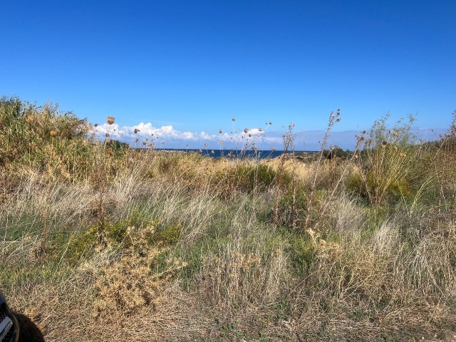 12 Hektar Land zum Verkauf in Karsiyaka Kyrenia nahe am Meer