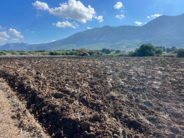 12 Hektar Land zum Verkauf in Karsiyaka Kyrenia nahe am Meer