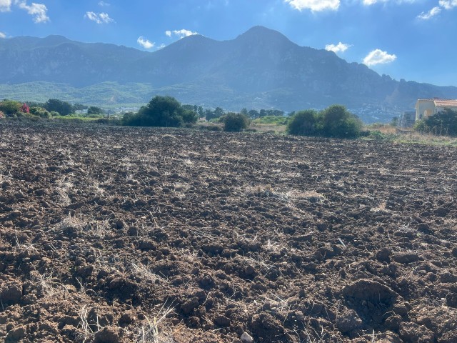 Karsıyaka girne denıze yakın satılık 12 donum arsa