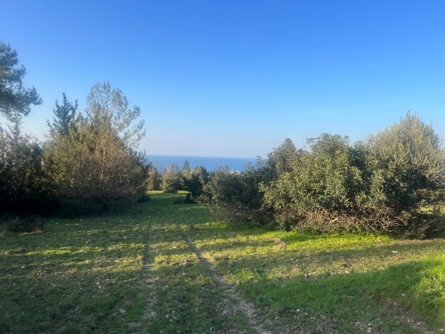 Catalkoy 11 acres land for sale