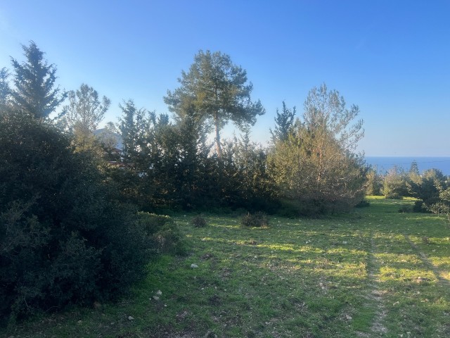 Catalkoy 11 acres land for sale