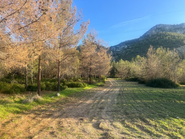 Catalkoy 11 acres land for sale