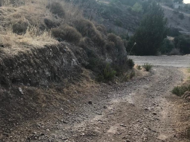 Malatya satilik arsa bungalow projesi var onayli 