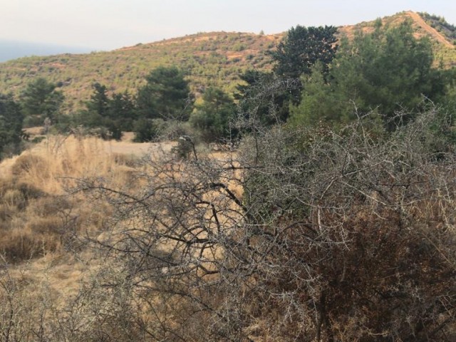 Malatya satilik arsa bungalow projesi var onayli 