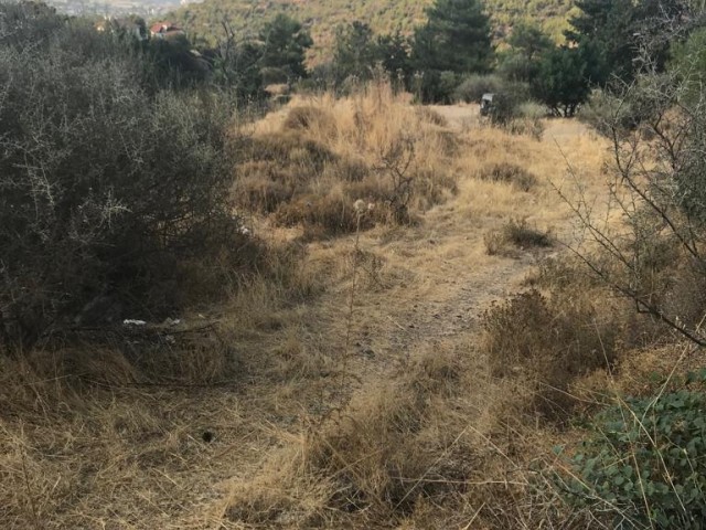 There is a land bungalow project for sale in Malatya, it is approved