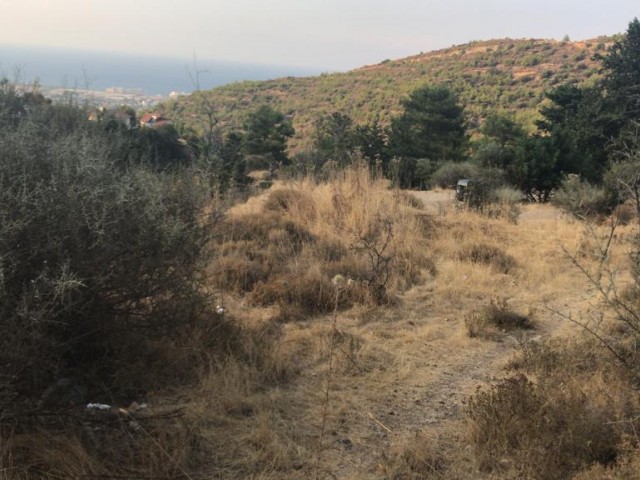 In Malatya steht ein Landbungalowprojekt zum Verkauf, es ist genehmigt