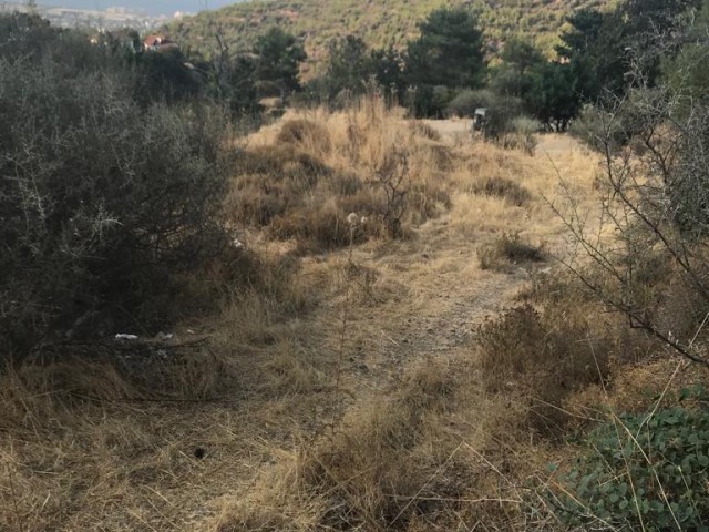 There is a land bungalow project for sale in Malatya, it is approved