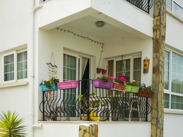 3+1 flat for sale in Lapta with shared pool