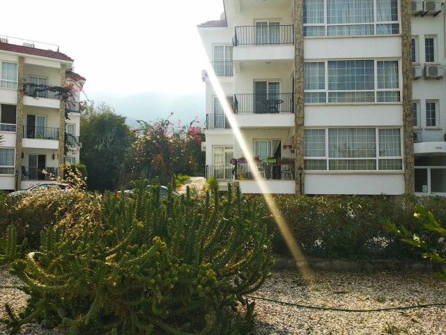 3+1 flat for sale in Lapta with shared pool