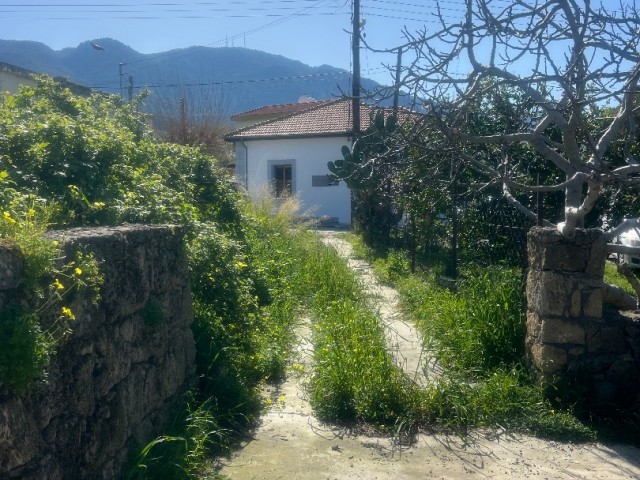 Das alte Haus in Alsancak muss dringend renoviert werden. Es steht zum Verkauf. Wenn die Gartenstraße belegt ist, können 6 Wohnungen gebaut werden.