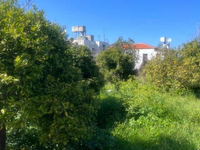 Das alte Haus in Alsancak muss dringend renoviert werden. Es steht zum Verkauf. Wenn die Gartenstraße belegt ist, können 6 Wohnungen gebaut werden.