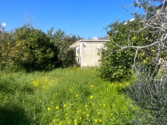 Alsancak old house needs a lot of renovations. It is for sale. When the garden road is taken, 6 flats can be built.