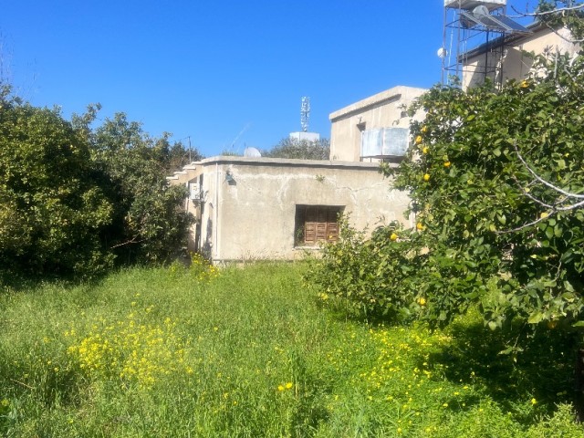 Das alte Haus in Alsancak muss dringend renoviert werden. Es steht zum Verkauf. Wenn die Gartenstraße belegt ist, können 6 Wohnungen gebaut werden.