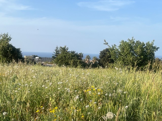 Karsiyaka deniz ve dag manzarali 8.5 donum satilik arsa