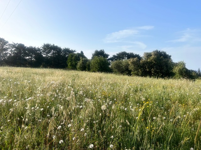 Karsiyaka deniz ve dag manzarali 8.5 donum satilik arsa